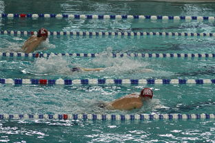 开云体育官网登入-“世界游泳锦标赛：2025新加坡赛场泳池掀起速度与优雅的碰撞”